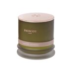 Juniper-Journey-organic-natural-scented-candle