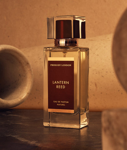 Lantern reed perfume bottle in moody setting