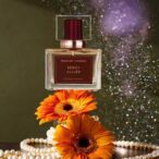 Natural cologne for women bebop allure orange gerbera rose