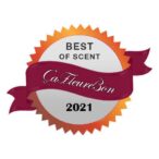 renaissance art diffuser - award logo