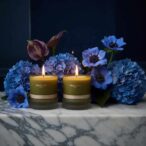 juniper journey natural scented candle by prosody london with hydrangea