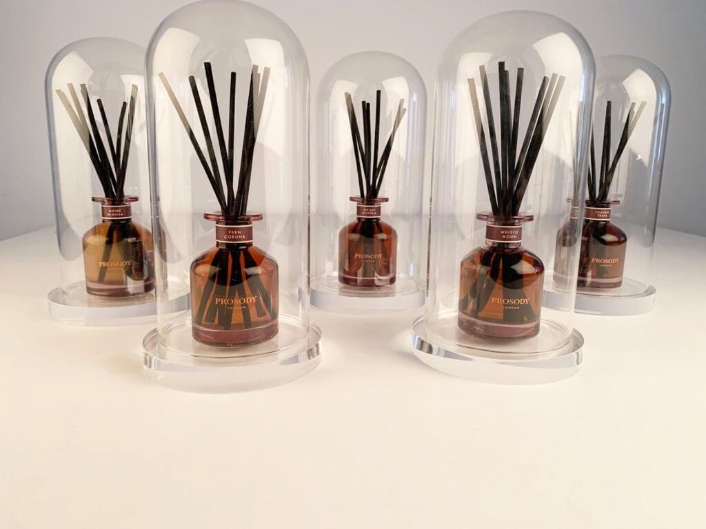 prosody-london-natural-diffuser-reed-group-cloche Whisky Wisteria - natural diffuser - with cloches
