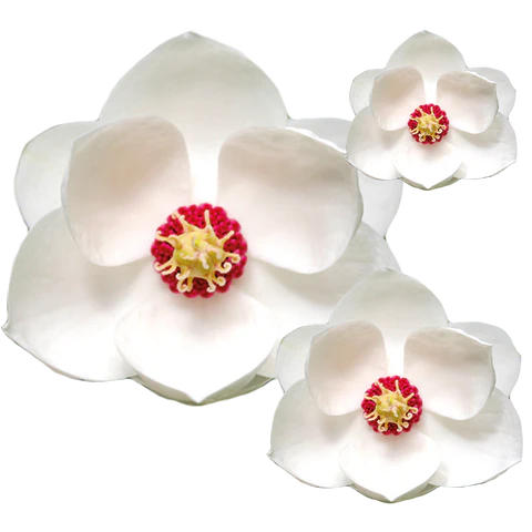 3 white magnolia