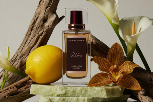 10 Best Long Lasting Perfume 2026 — That Last 12+ Hours