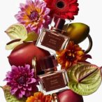 prosodylondon bebop allure with dahlia
